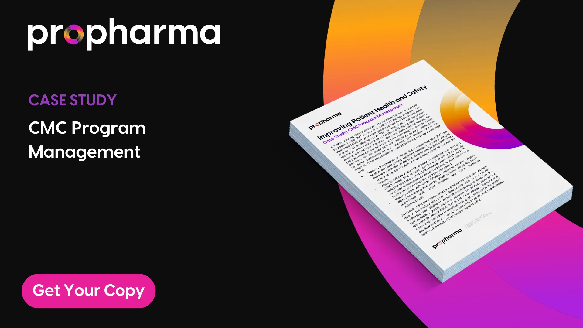 CMC Program Management