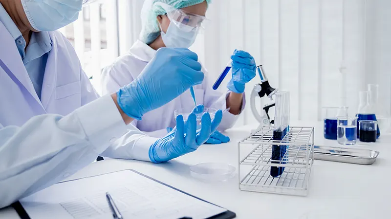 Two technicians using petri dishes and test tubes